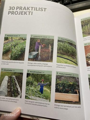 Проекты умного сада (фото #4)