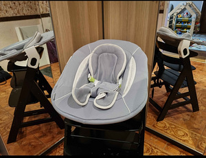 Hauck Alpha Bouncer 2 in 1 – laste lamamistool (3 foto / 3)