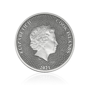 Cook 1/10 oz silber (2 фото из 3)