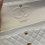 Chaneli kott (foto #1)