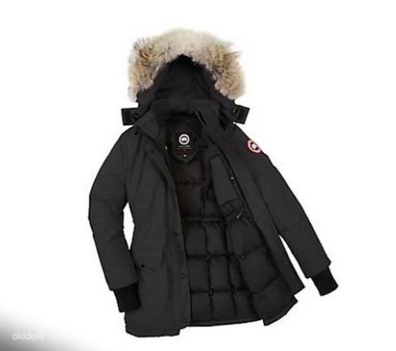 Joppe Canada goose