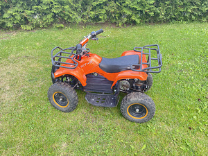 Nitro elektriline ATV 800w 36V (5 foto / 5)