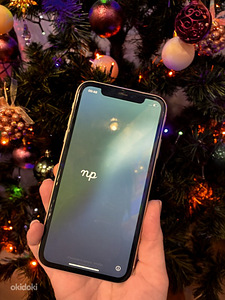 Apple 11 (2 фото из 3)