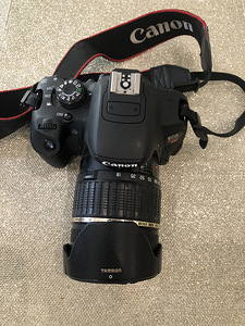 Canon Rebel T5I/Canon EOS 700D (3 foto / 9)