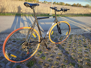 Jalgratas GUST RIGA 28" (4 foto / 6)