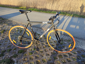 Jalgratas GUST RIGA 28" (1 foto / 6)