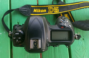 NIKON D5 (1 foto / 4)