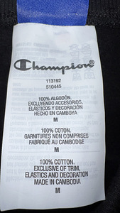 Штаны Champions (2 фото из 7)
