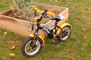 ДЕТСКИЙ ВЕЛОСИПЕД SCHWINN TIGER 12'' (1 фото из 2)