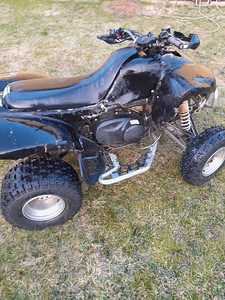 Kawasaki KFX 700 (2 foto / 3)