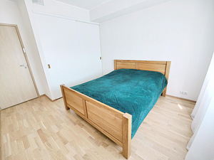 Paepargi tn 47, Lasnamäe, Tallinn, Harjumaa (12 foto / 29)