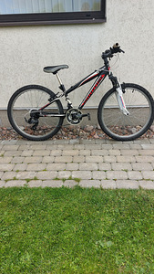 BOTTECCHIA