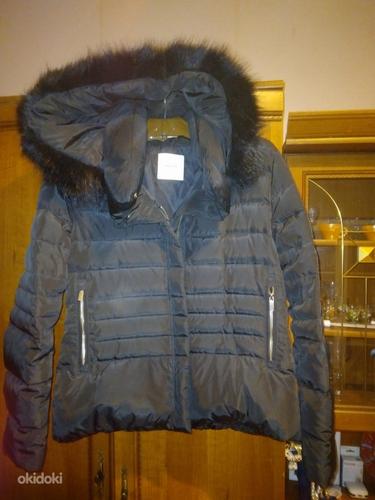 Продаю теплую зимнюю женскую куртку Mango (фото #4)