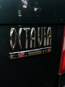 Skoda Octavia 4X4 Disel (15 foto / 15)