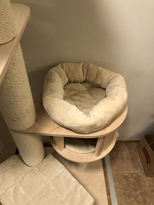 Кошачий домик (2 фото из 3)
