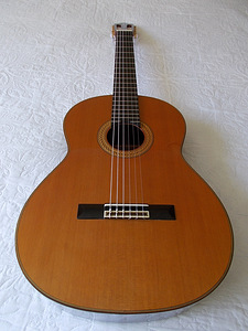 Классическая Испанская концертная гитара Esteve 9C/B