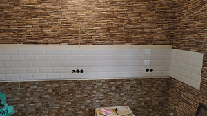 Plaatija, maaler (6 foto / 10)