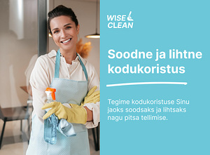 WiseClean: Soodne ja lihtne kodukoristus (1 foto / 1)