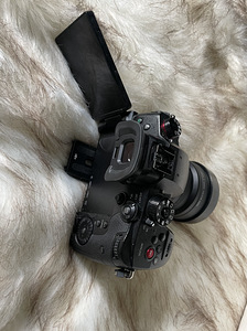 Panasonic Lumix GH5S body (2 foto / 5)