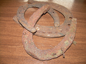Hobuserauad (2 foto / 3)