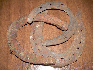 Hobuserauad (3 foto / 3)