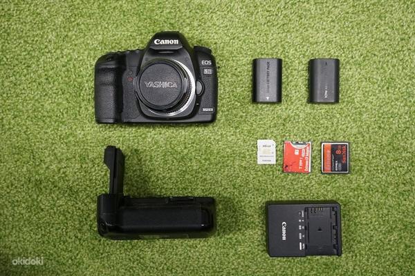 Canon 5D MKII + Canon USM 35-135 f4-5.6 (фото #5)