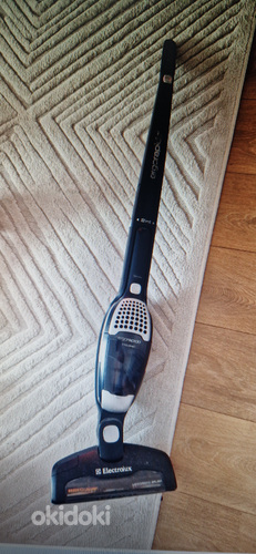 Electrolux ZB2935 Ergorapido 2in1 вертикальный пылесос. Не работает,