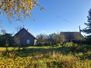 Kingu, Kaave, Jõgeva vald, Jõgevamaa (4 foto / 15)