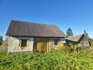 Kingu, Kaave, Jõgeva vald, Jõgevamaa (7 foto / 15)