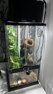 Terrarium 30x30x60cm (2 foto / 2)