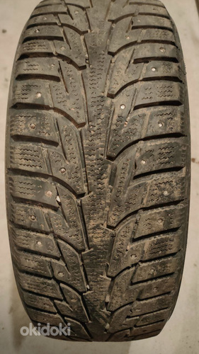 Talverehvid Winter I*Pike 205/50 R17