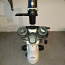 Микроскоп Nikon Eclipse TS100 (фото #2)