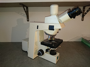 Микроскоп Carl Zeiss Axioskop (2 фото из 3)