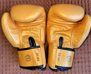 Fairtex BGV19 10oz (2 foto / 3)