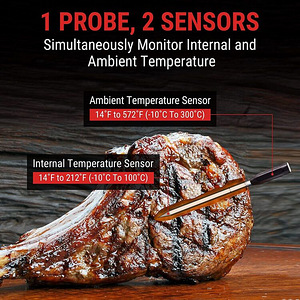 Bluetooth juhtmevaba liha termomeeter TempSpike BBQ (5 foto / 9)