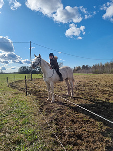 Лошадь hobune (2 фото из 6)