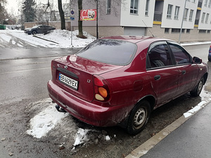 Заз сенс (3 фото из 5)