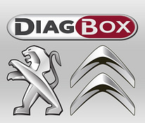Citroen, Peugeot Diagbox diagnostika, adaptatsioon