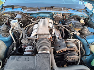 Pontiac Firebird 5.7 TPI; Manuaal; Targa (13 foto / 14)