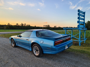 Pontiac Firebird 5.7 TPI; Manuaal; Targa (6 foto / 14)