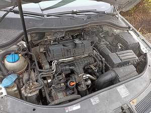 Passat b6 varuosadeks (4 foto / 6)