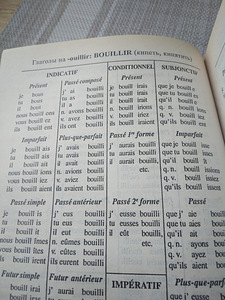 Prantsuse keele grammatika õpilastele ja koolilastele (5 foto / 7)