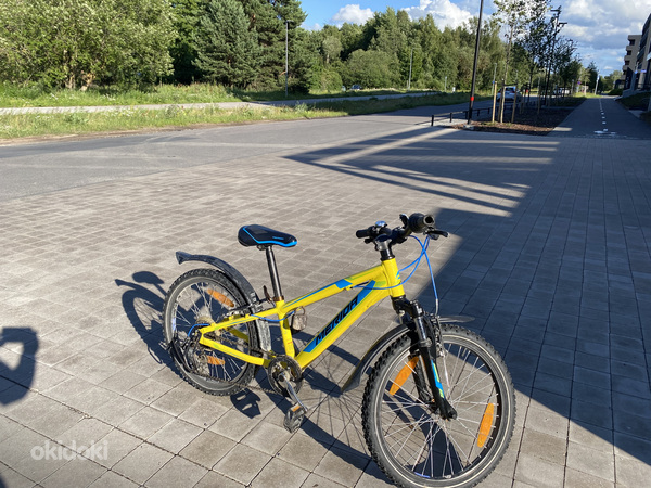 Велосипед Merida Matts J20 матовый желто-синий (фото #2)