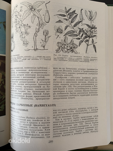 Taimede entsüklopeedia (foto #4)