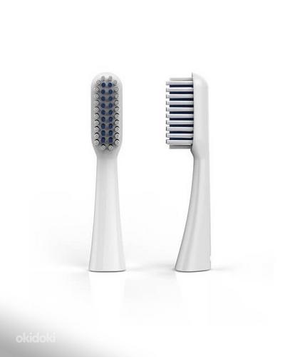 Запасные щетки dentle Zip