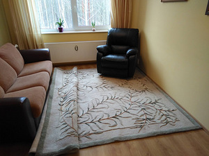 Шерстяной ковёр (3 фото из 3)