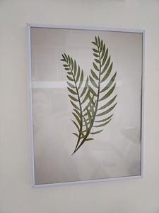 Kaks pildiraami 30x40 (6 foto / 6)