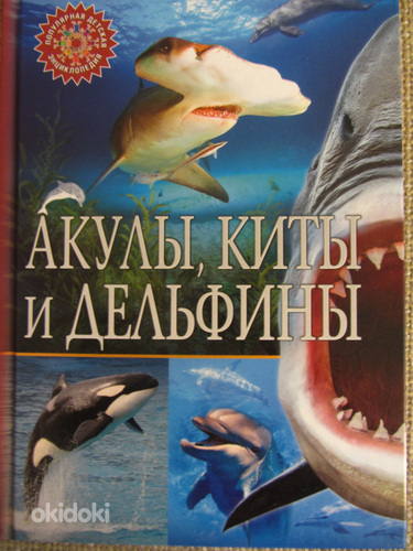 Акулы, киты и дельфины.Популярная детская энциклопедия новая
