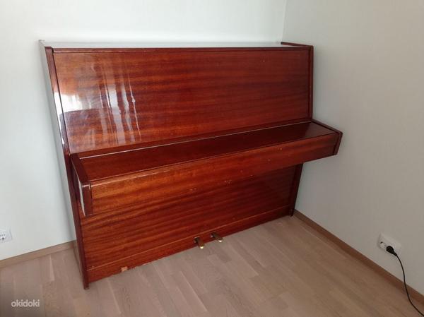 Klaver Riia (foto #1)