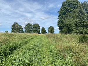 Müüa suur maatulundusmaa Jõgeva maakonnas (3 foto / 6)